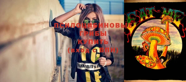 PSILOCYBIN Абинск