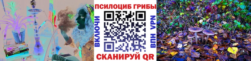 где купить наркоту  Ступино  Галлюциногенные грибы прущие грибы 