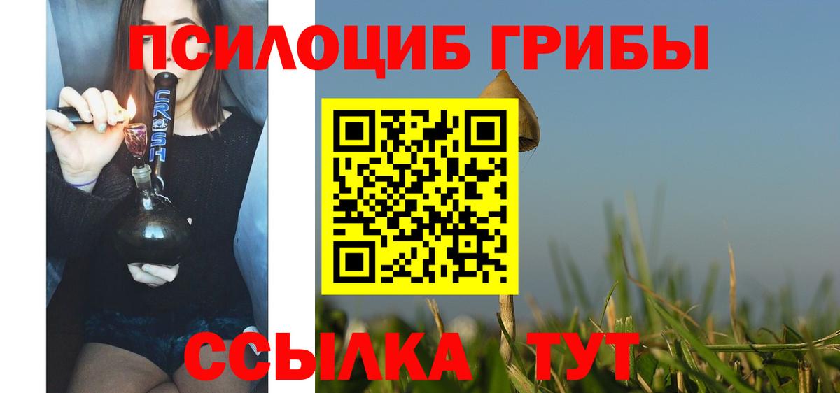 как найти   Галлюциногенные грибы Magic Shrooms  Вход с VPN  Ступино  Псилоцибиновые грибы мухоморы 