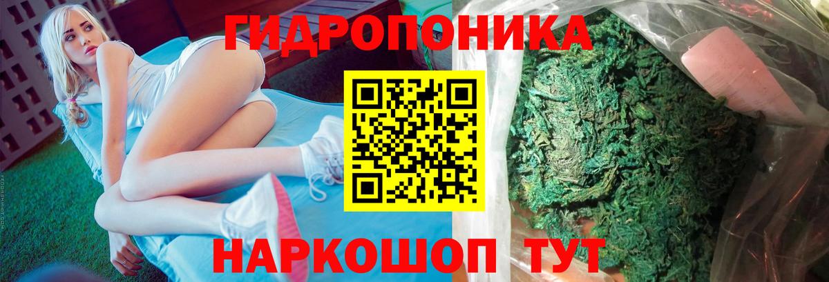 Бошки Шишки планчик Ступино